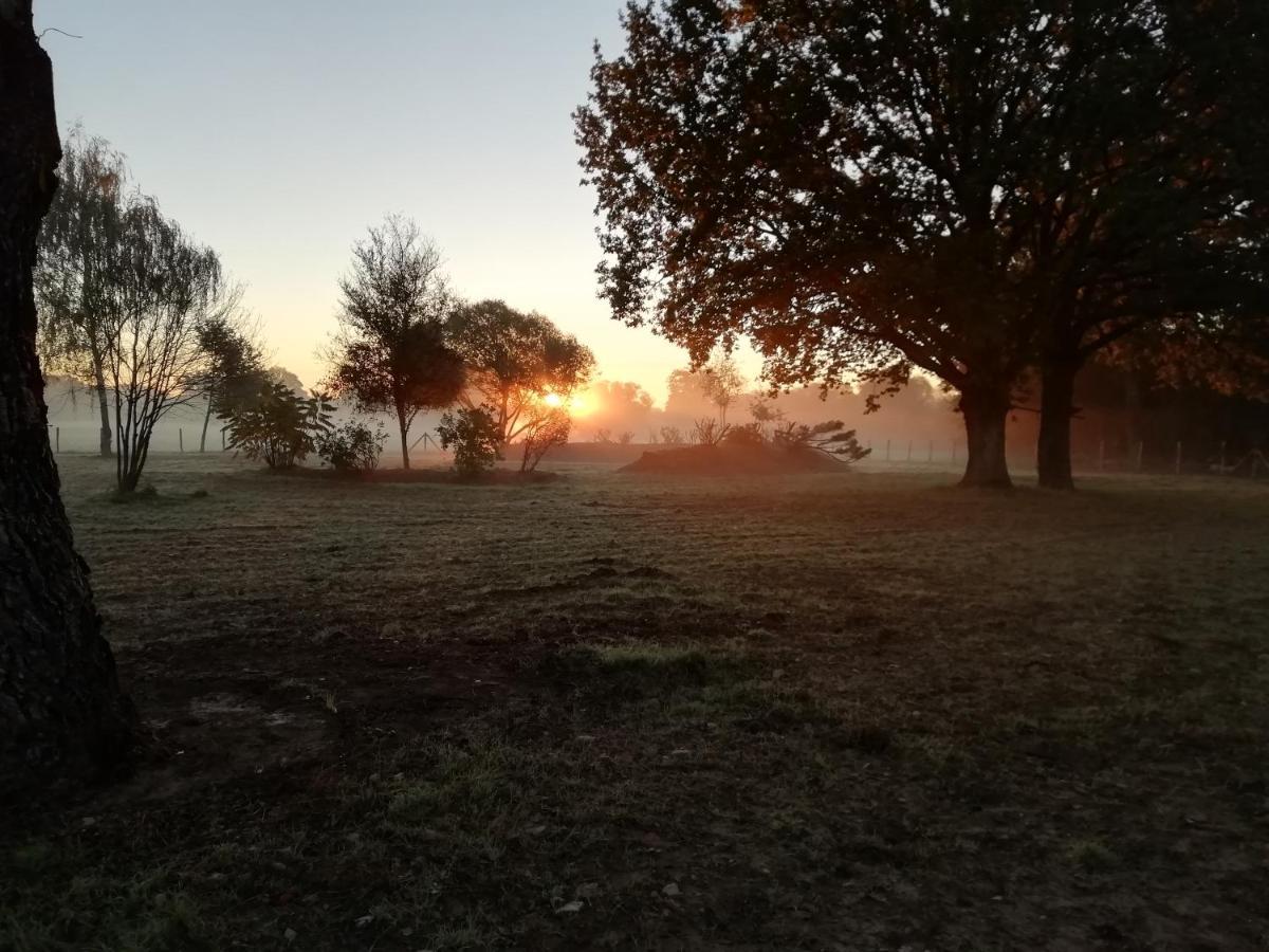 Les Gites Du Petit Marcel Soudan  Esterno foto